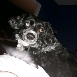 Meet your Posher, Racheal